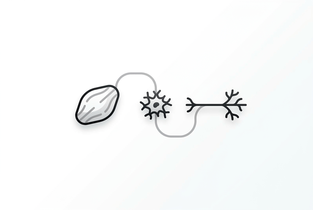 Diagram of microglia linking organ pathology to sleep circuitry